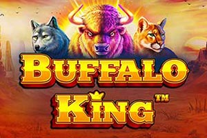 Buffalo King